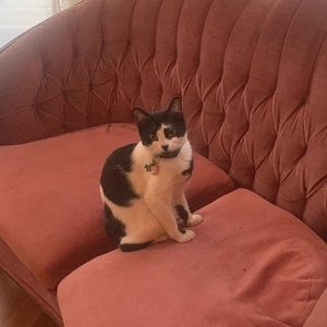 Meet your Posher, Alia